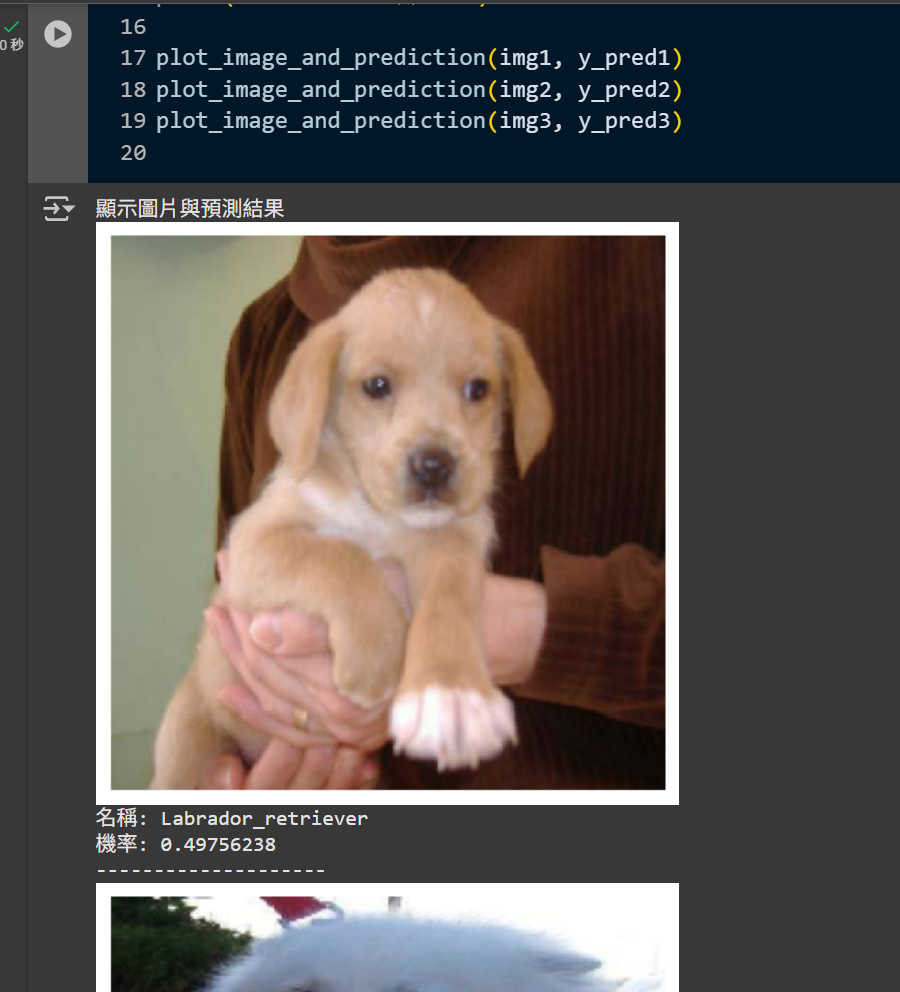 vgg16_model_predict